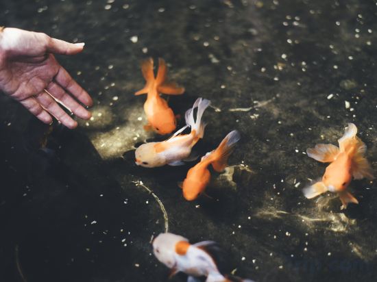 Фото Marine Beach Hotel Pattaya