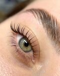 Lami lashes (Berezovaya Roscha Street, 1С), eyebrow and eyelash salon