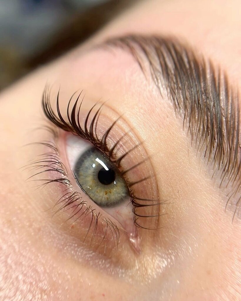 Eyebrow and eyelash salon Lami lashes, Voronezh, photo