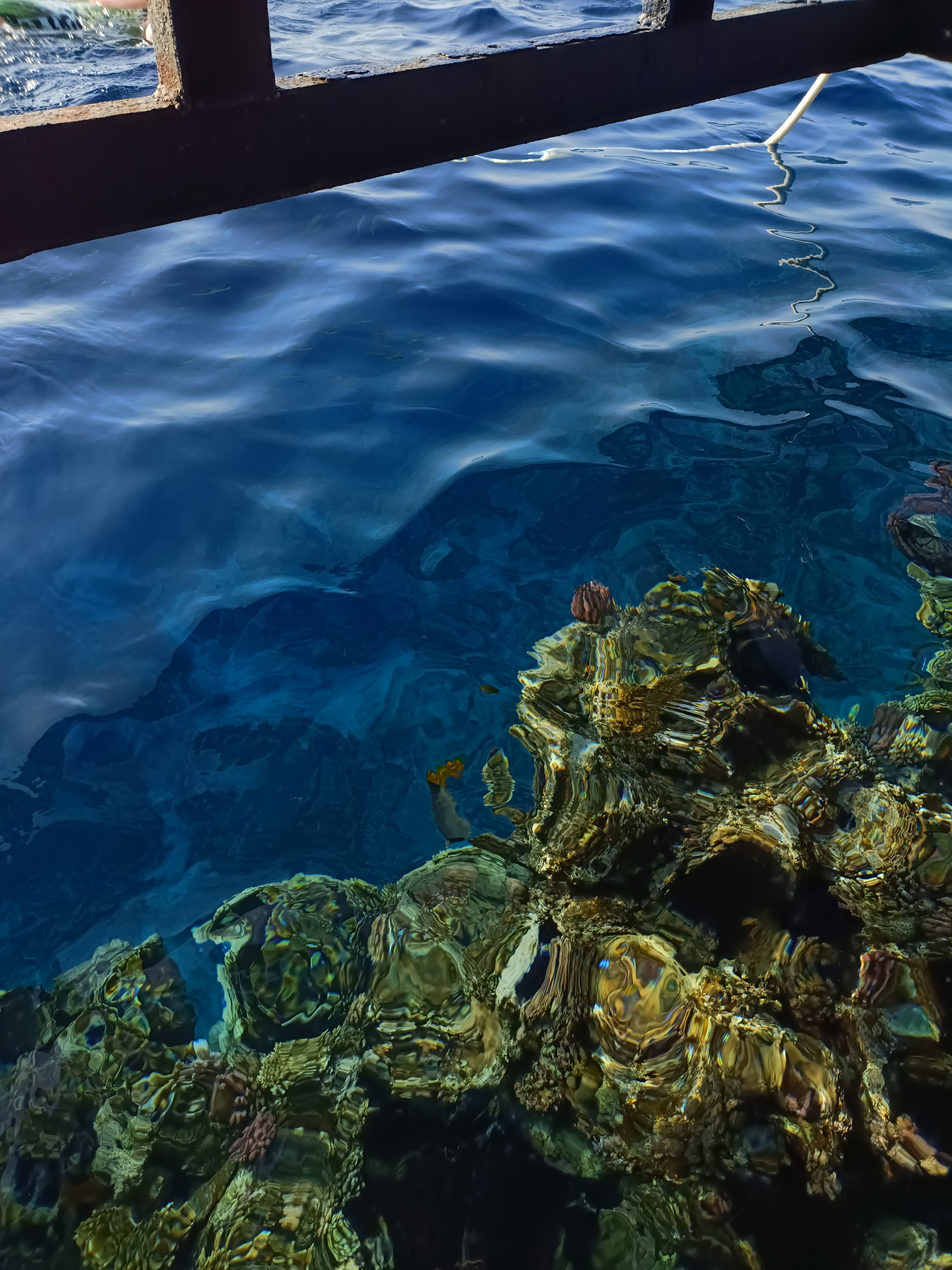 Фото Coral Beach Resort Tiran