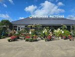 Mastera Sada (Yakhroma, Pochinkovskaya ulitsa, 19), plant nursery