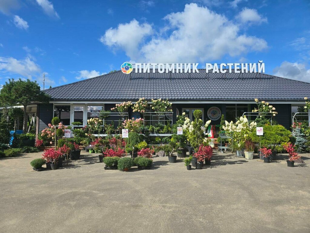 Plant nursery Mastera Sada, Yahroma, photo