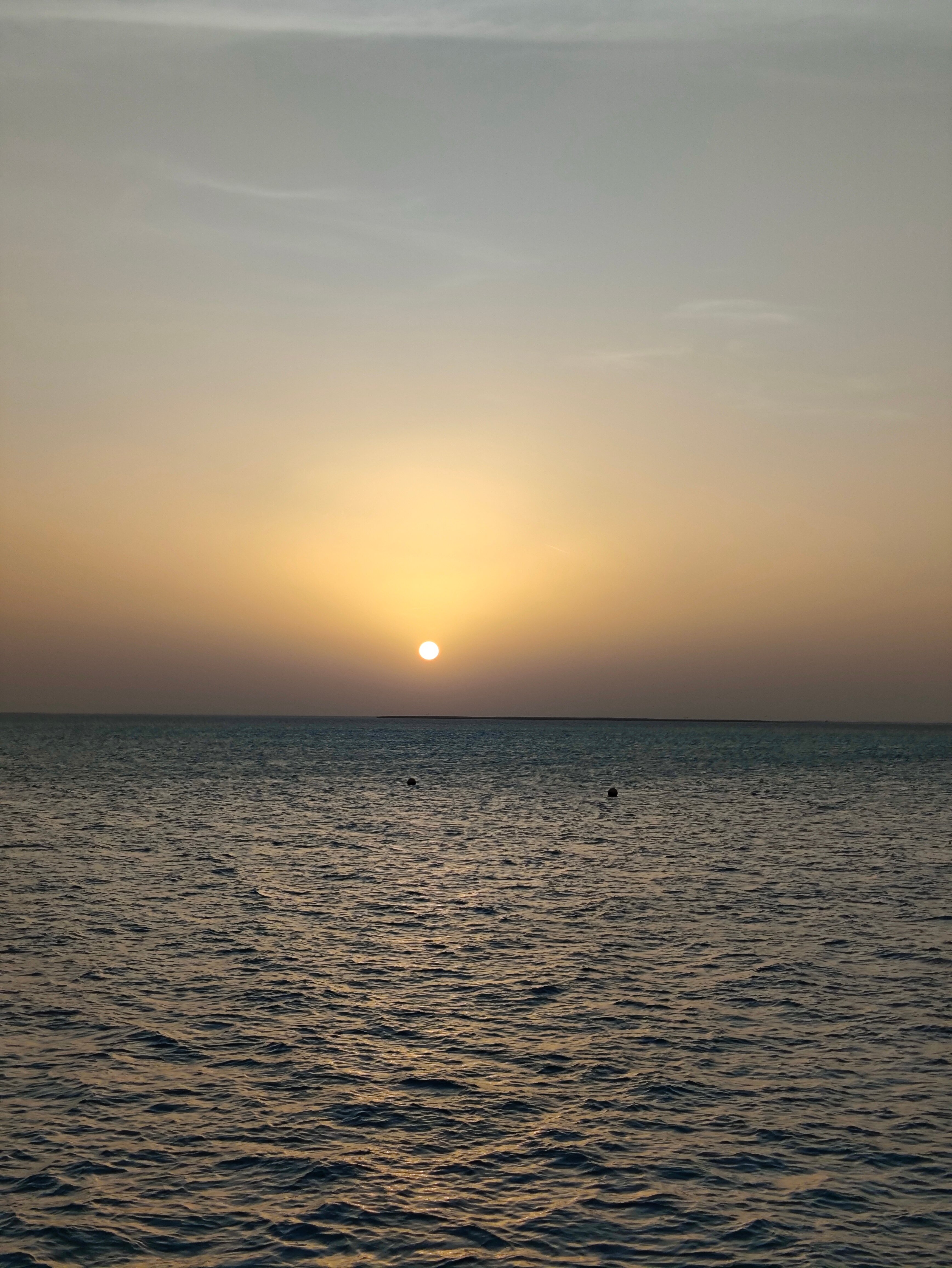 Фото Palm Royale Resort Soma Bay