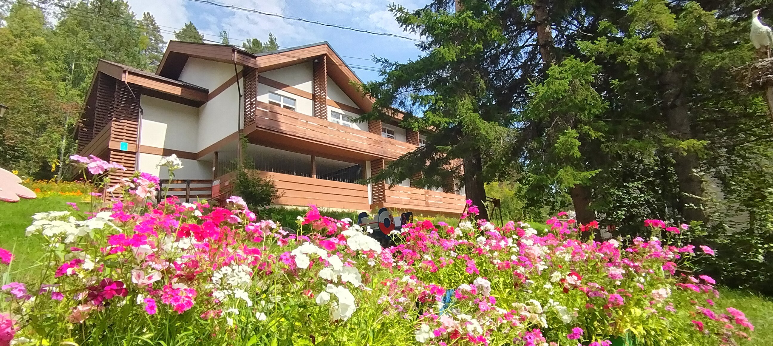 Фото Энергетик