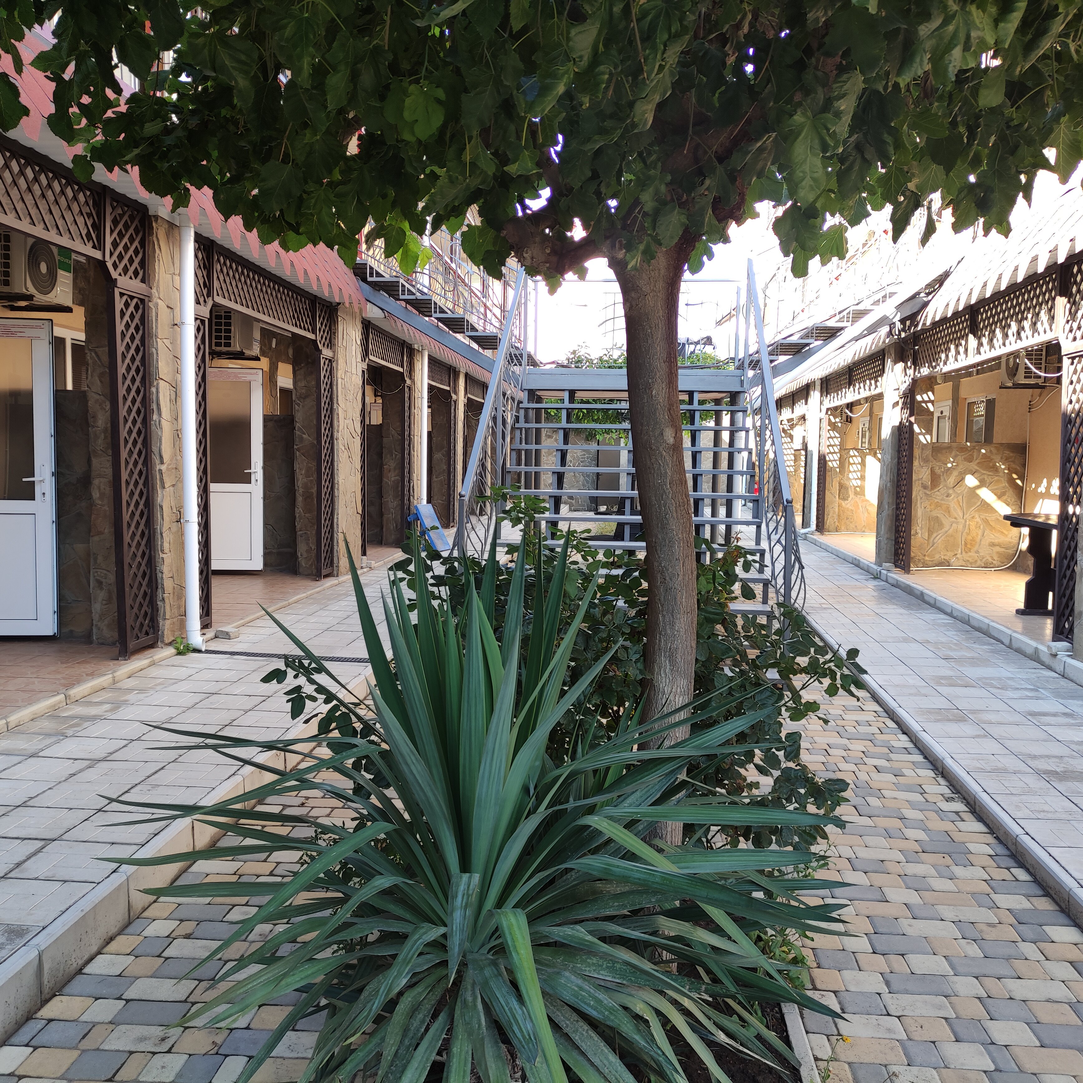 Фото Арсенал