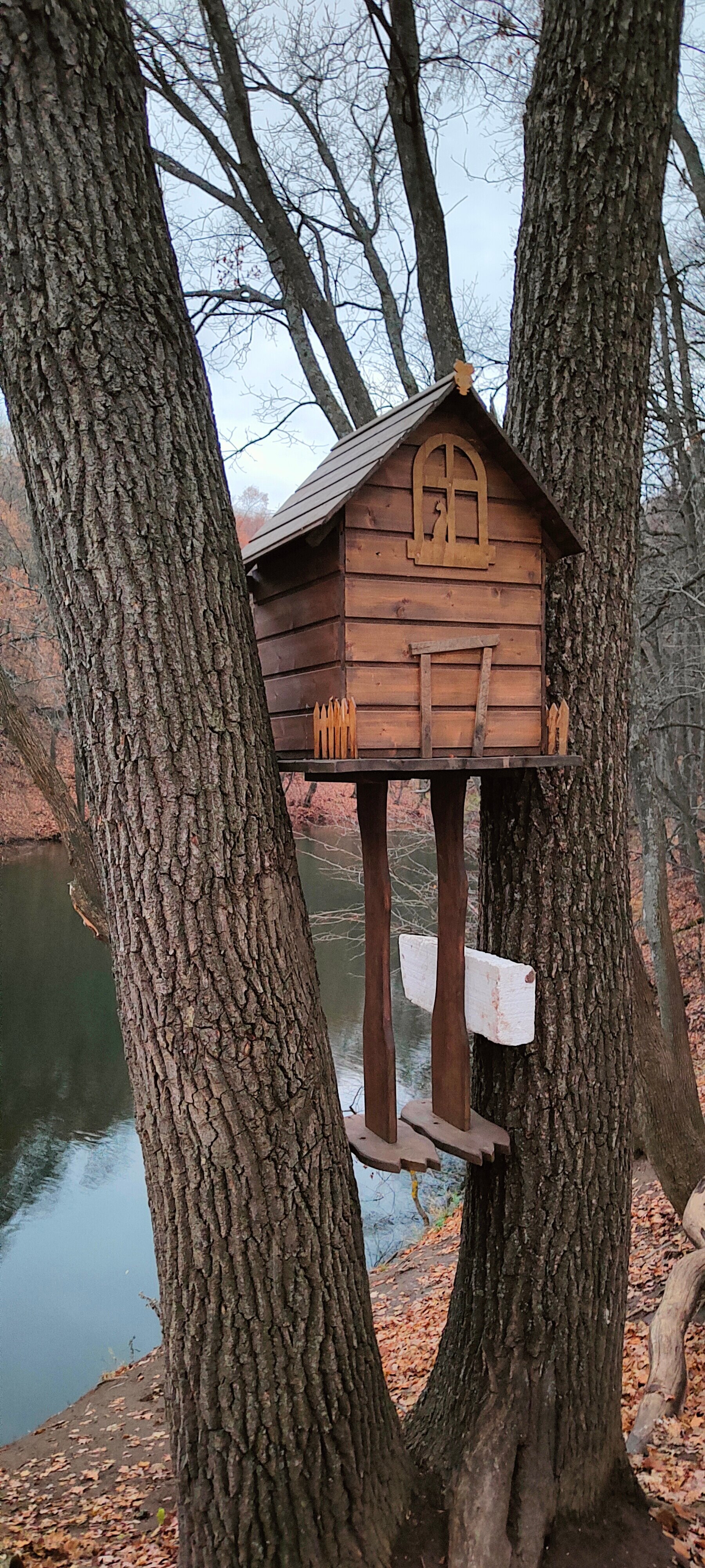 Фото В Лес Афрейм