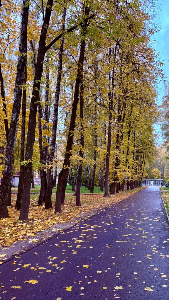 Housing complex Наши Баташи, Tula, photo