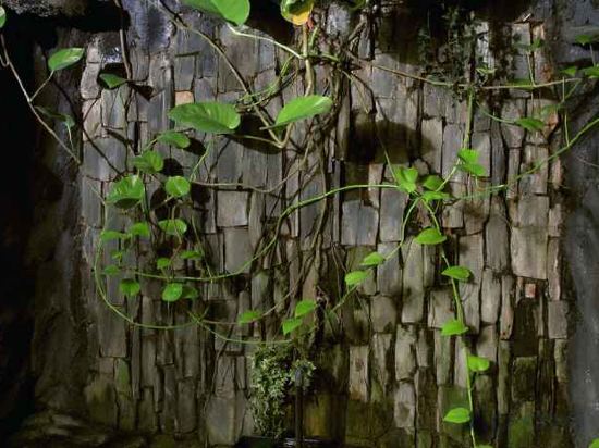 Фото Bantal Guling Trans