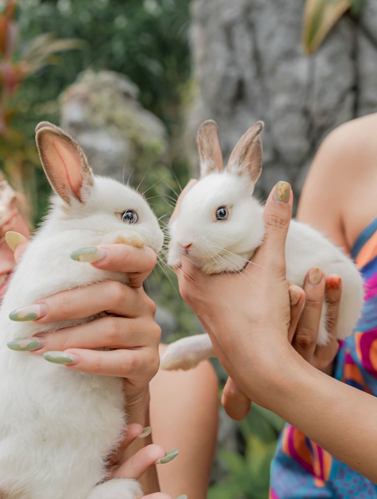 Фото Thavorn Palm Beach Resort Phuket