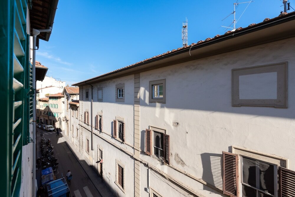 Фото Flospirit - Viola