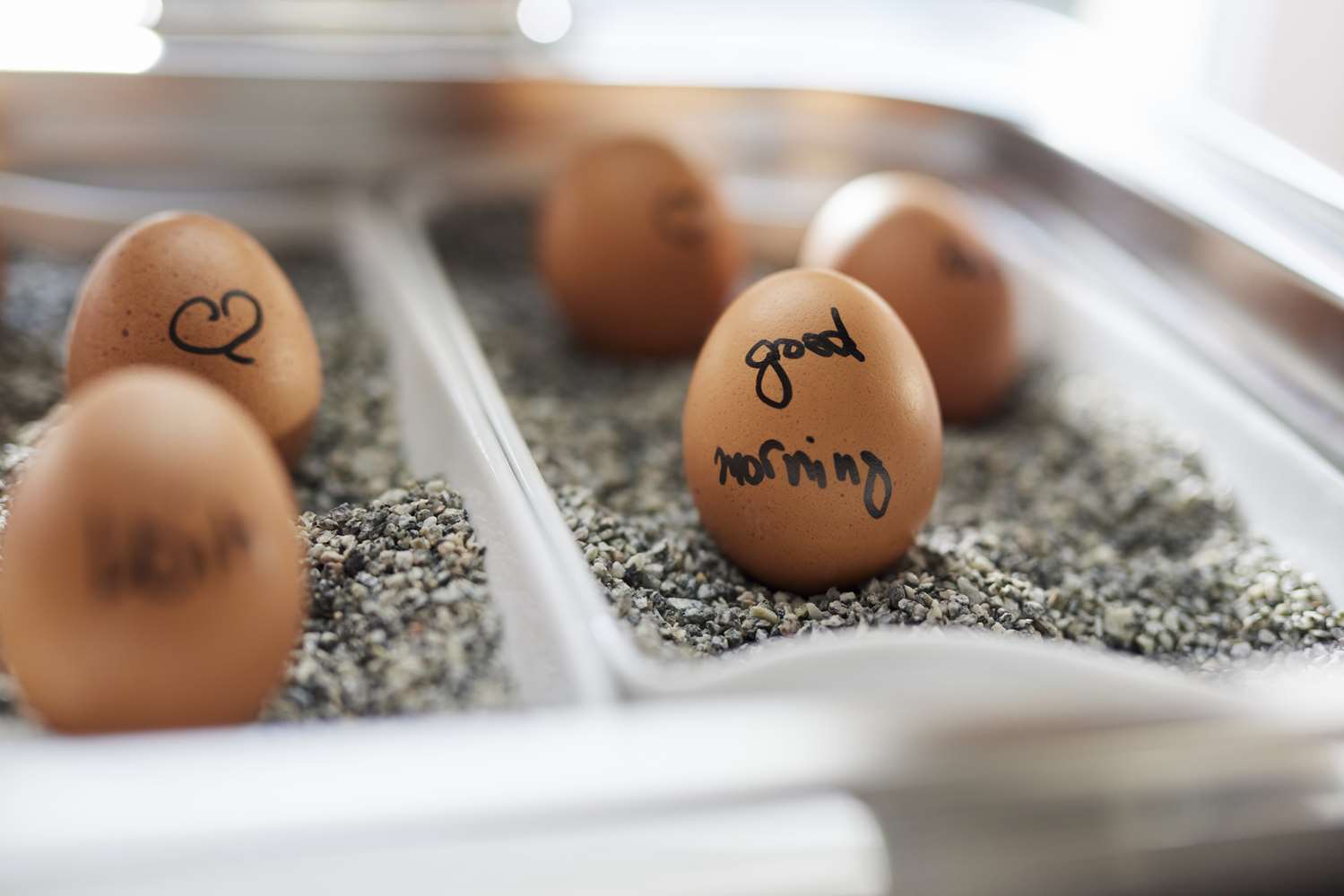 Фото Best Western Raphael Hotel Altona