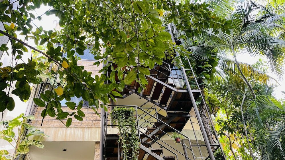 Фото Hotel Playa del Karma