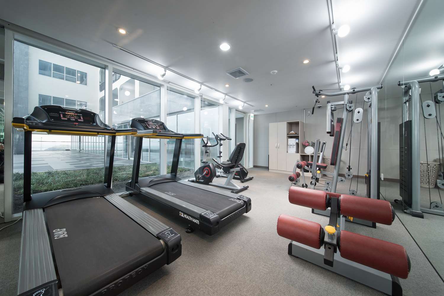 Фото Whistle Lark