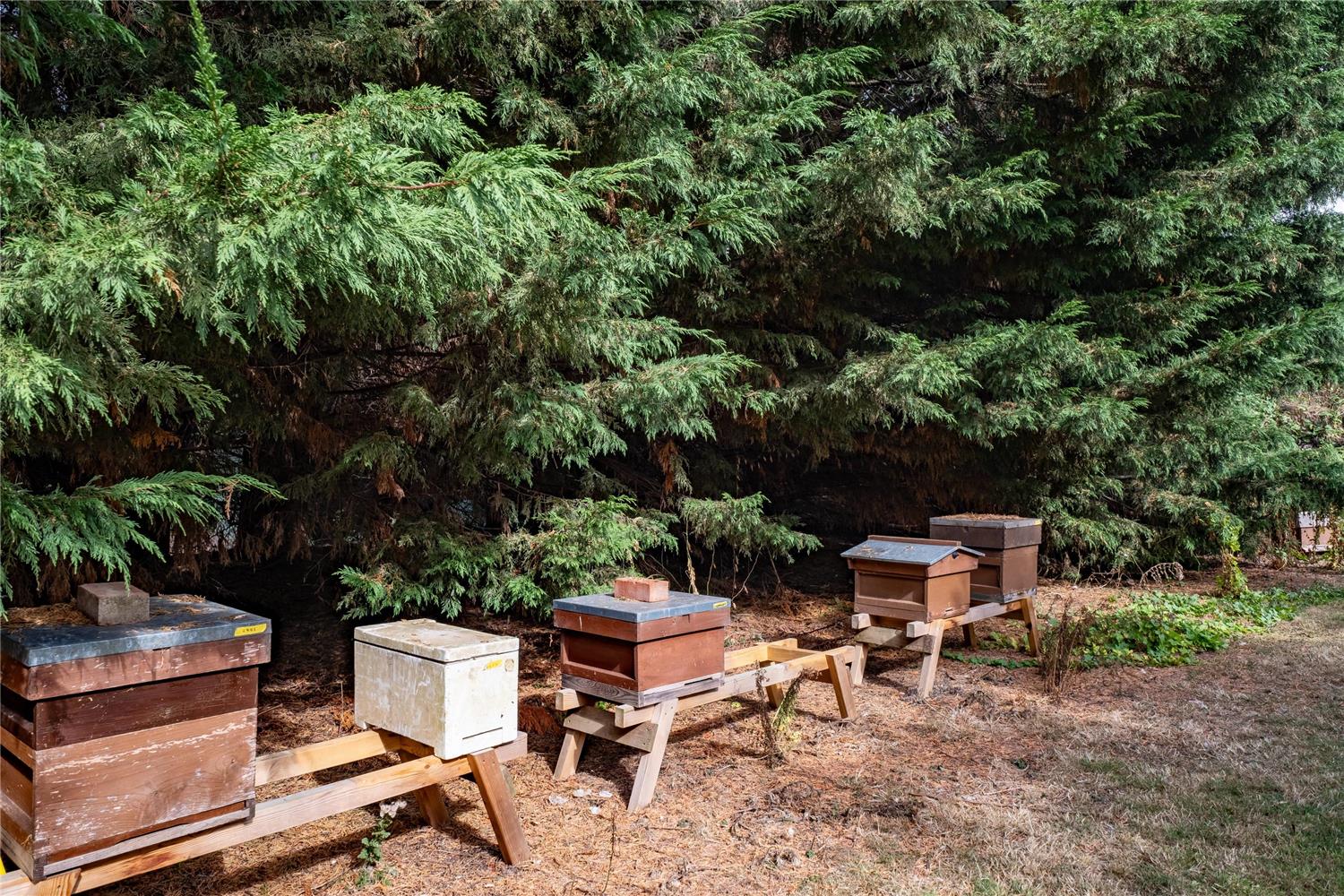 Фото The Charlecote Pheasant Hotel