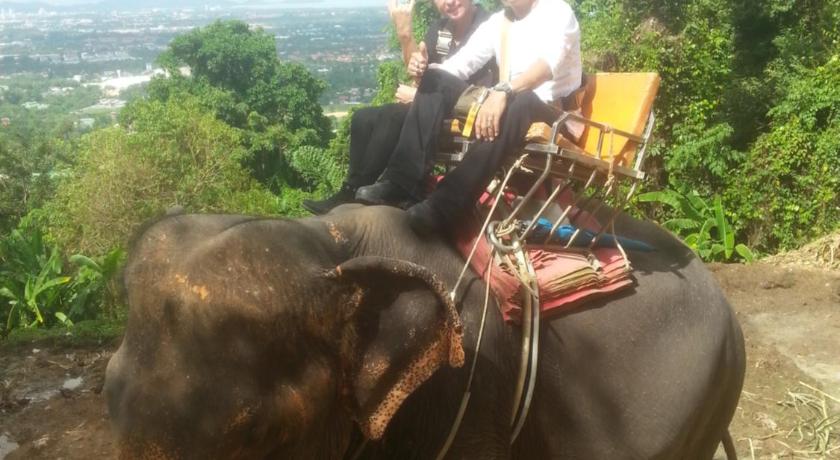 Фото Similan Hotel