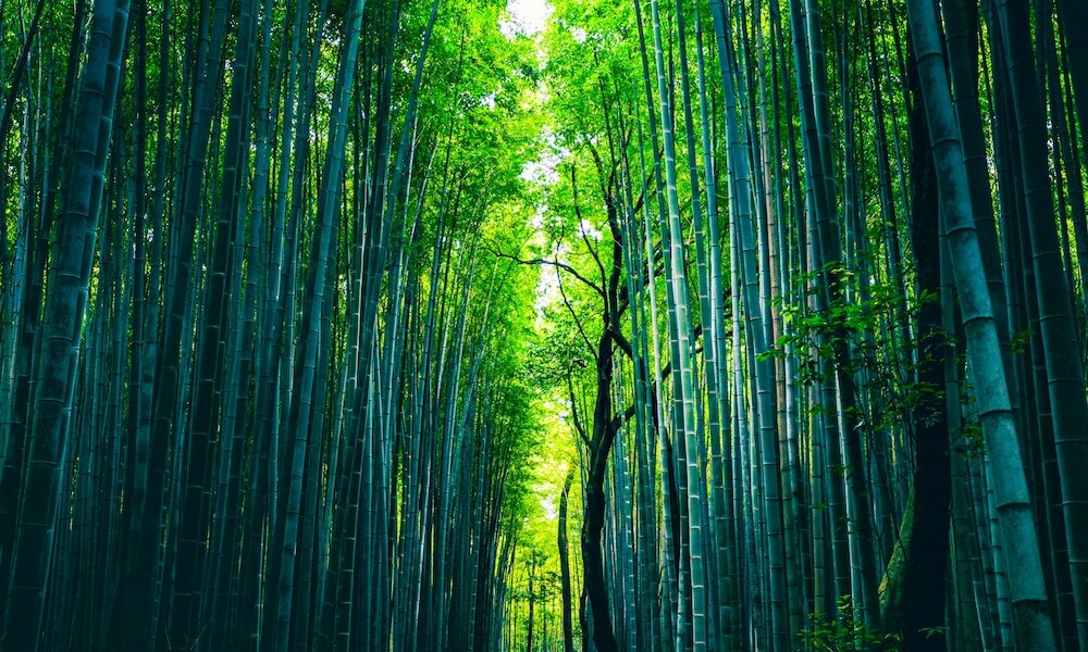 Фото Hotel Rings Kyoto