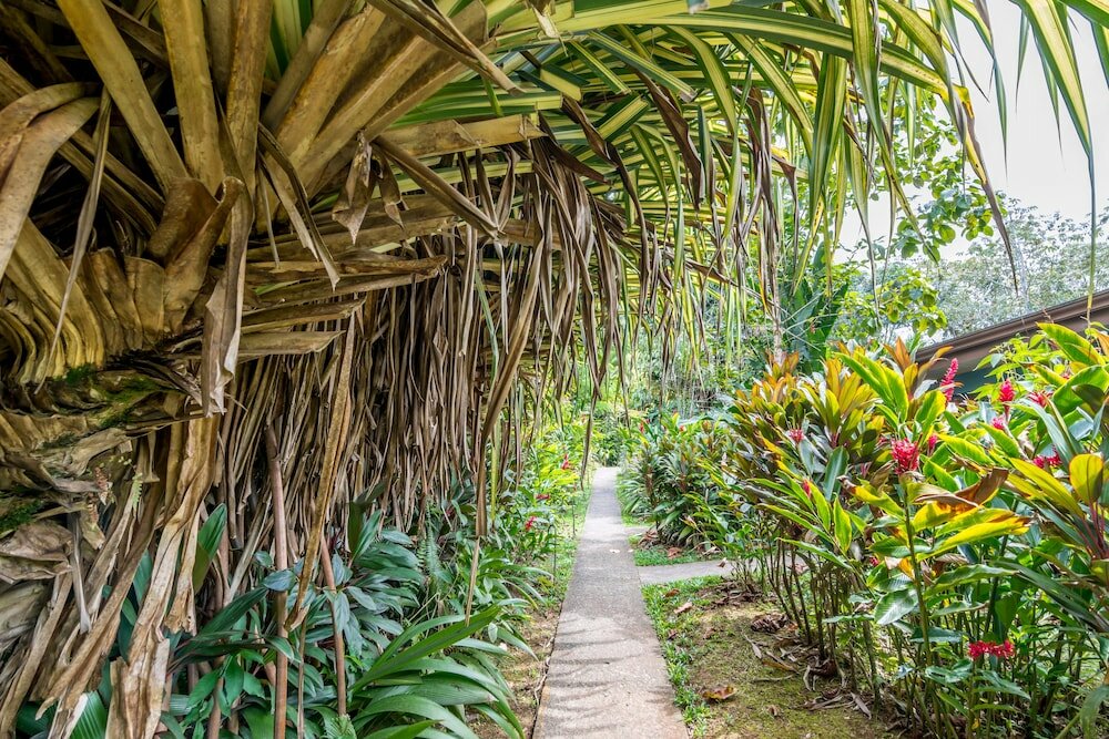 Фото Ara Ambigua Lodge