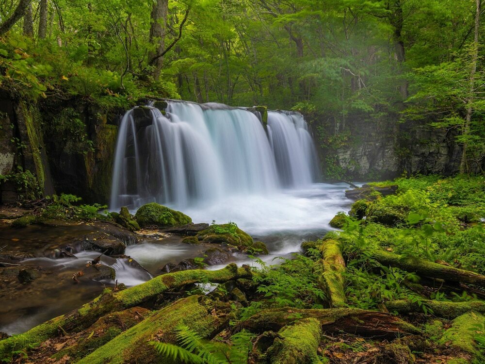 Фото Apa Hotel Aomorieki Kenchodori