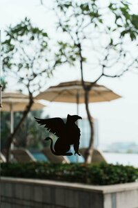 Гостиница Jw Marriott Hotel Kolkata