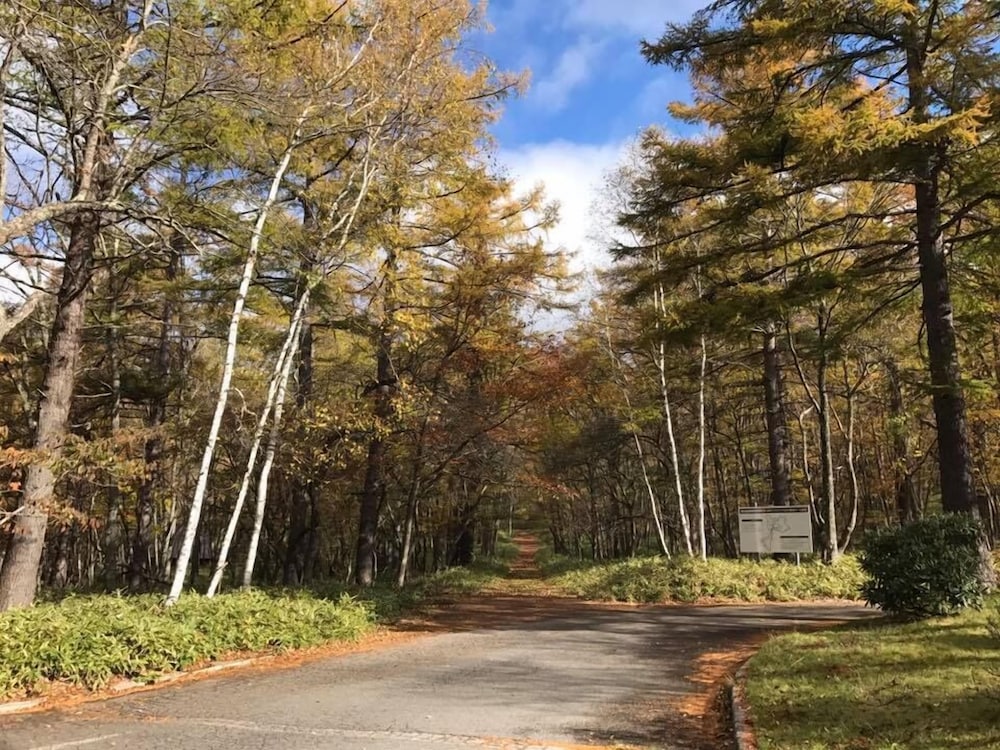 Фото Nikko Astraea Hotel