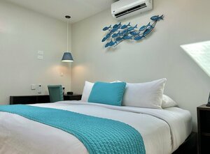 Гостиница Palau Central Hotel