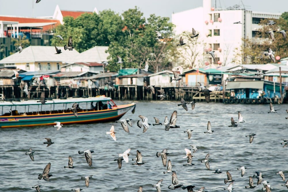 Фото Theatre Residence