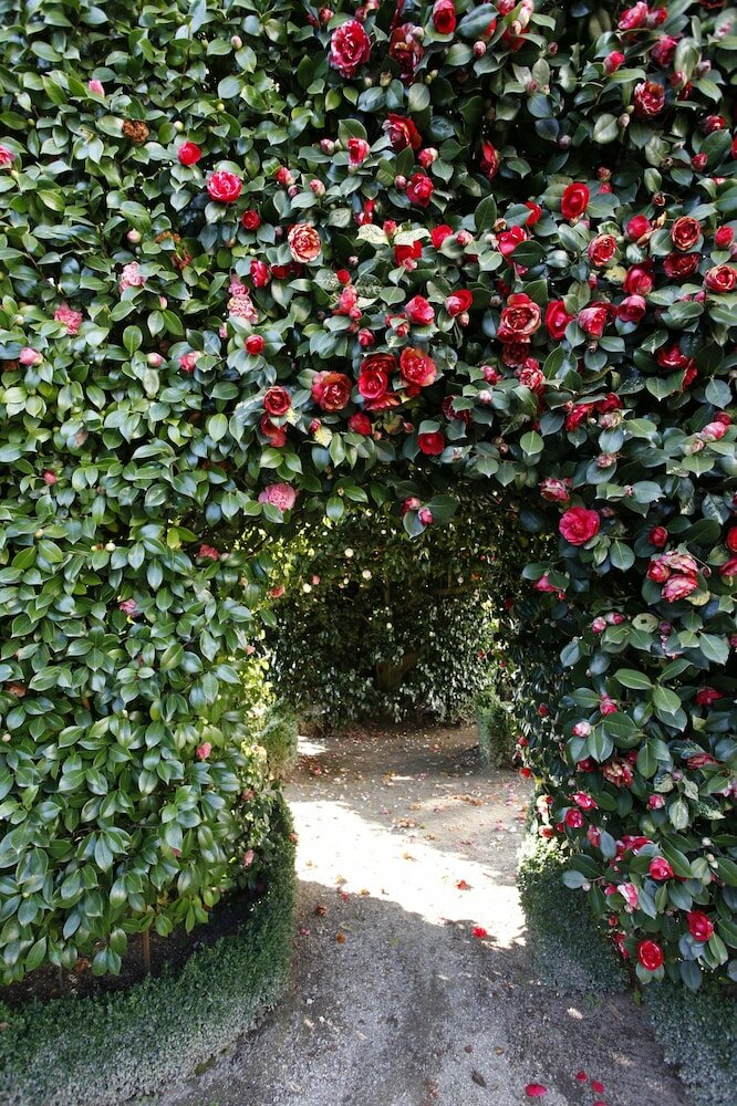 Фото Parador Casa da Ínsua