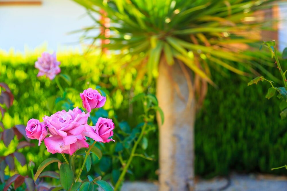 Фото Hotel Rural Imada