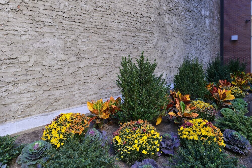 Фото Holiday Inn New York City - Times Square