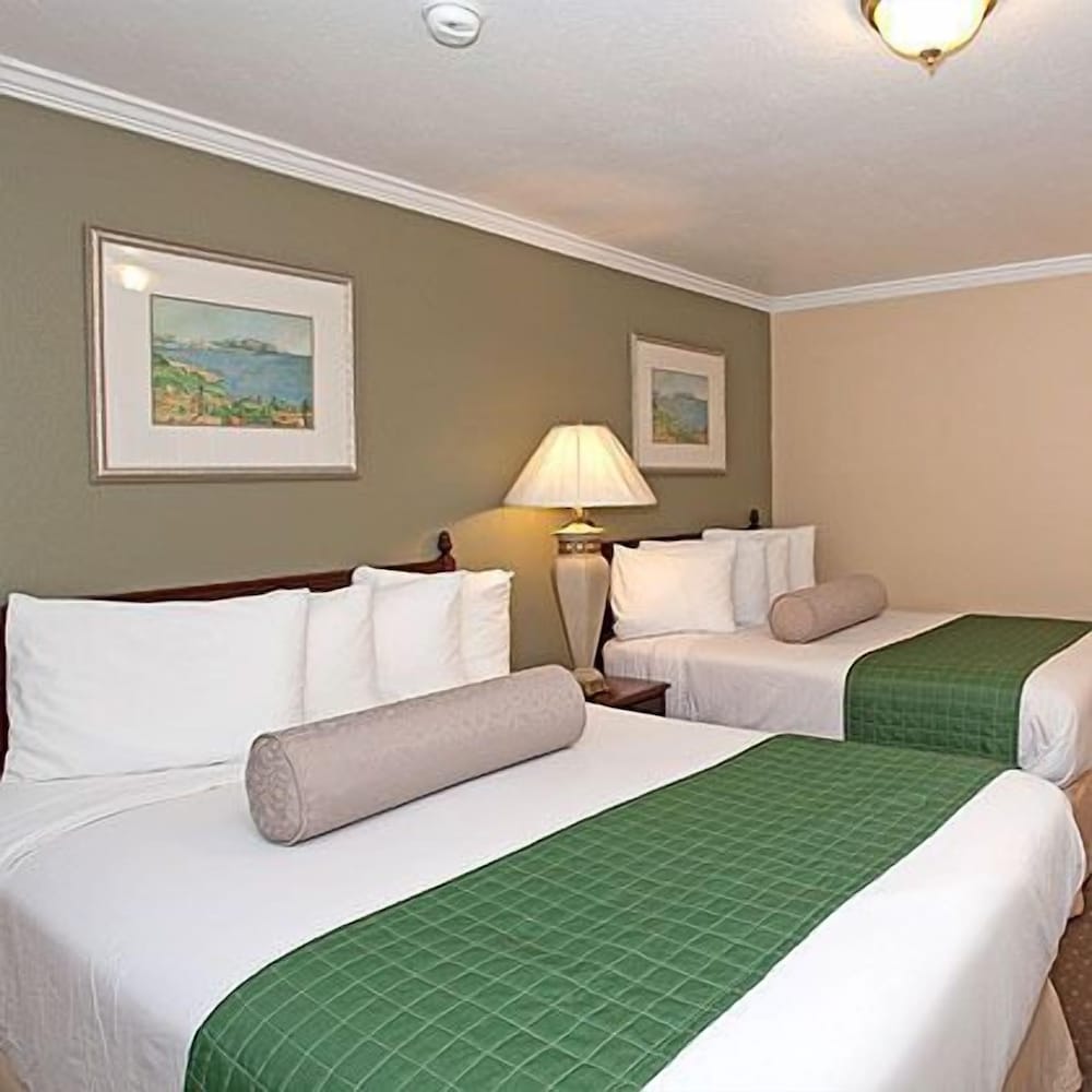 Фото Traveler's Inn