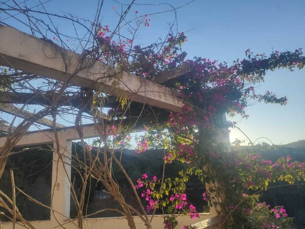 Фото Colônia de Férias Saa