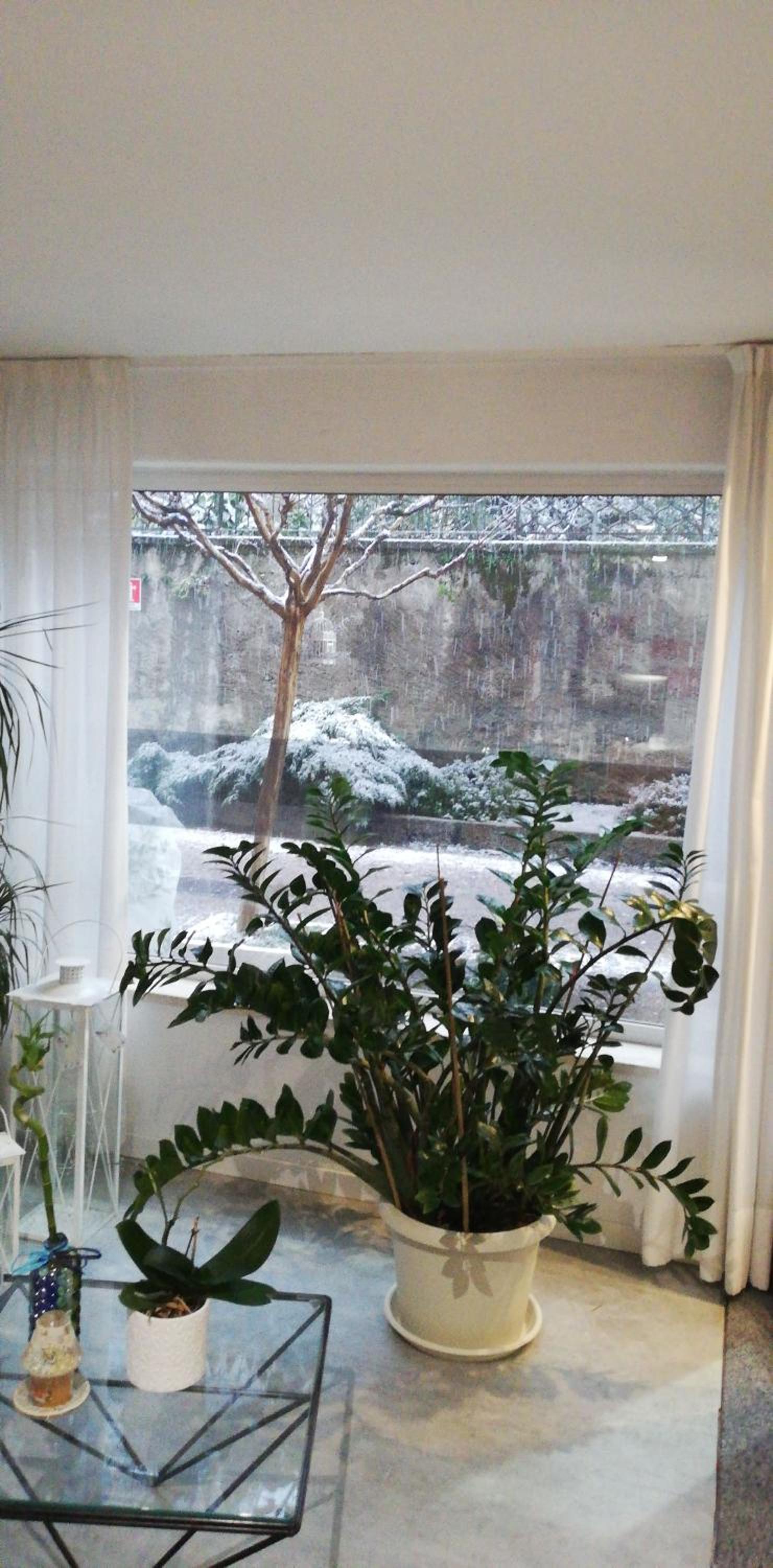 Фото Hotel Internazionale