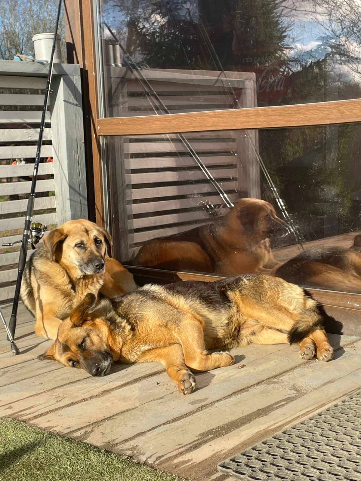 Фото Царская рыбалка