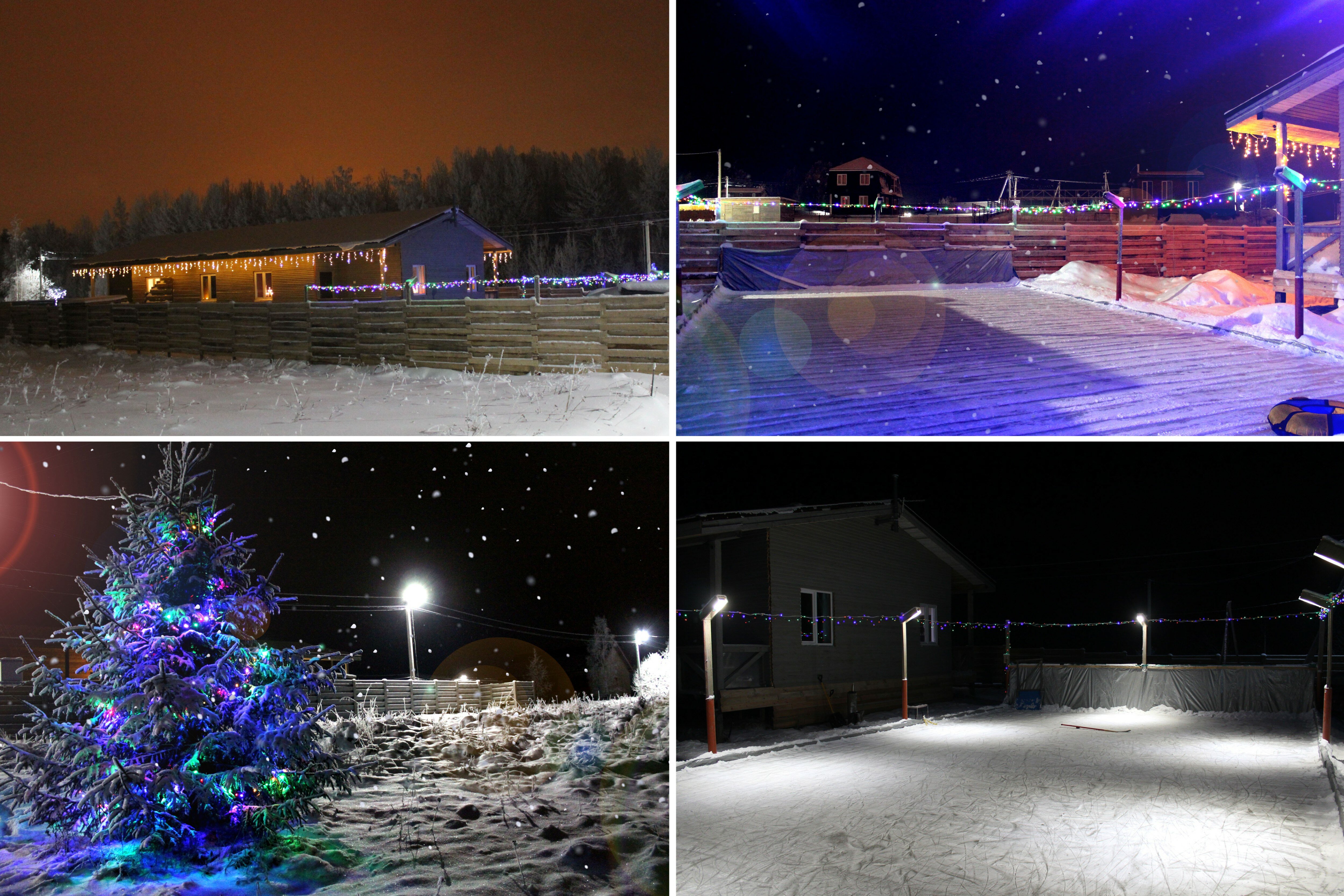 Фото Гнездо