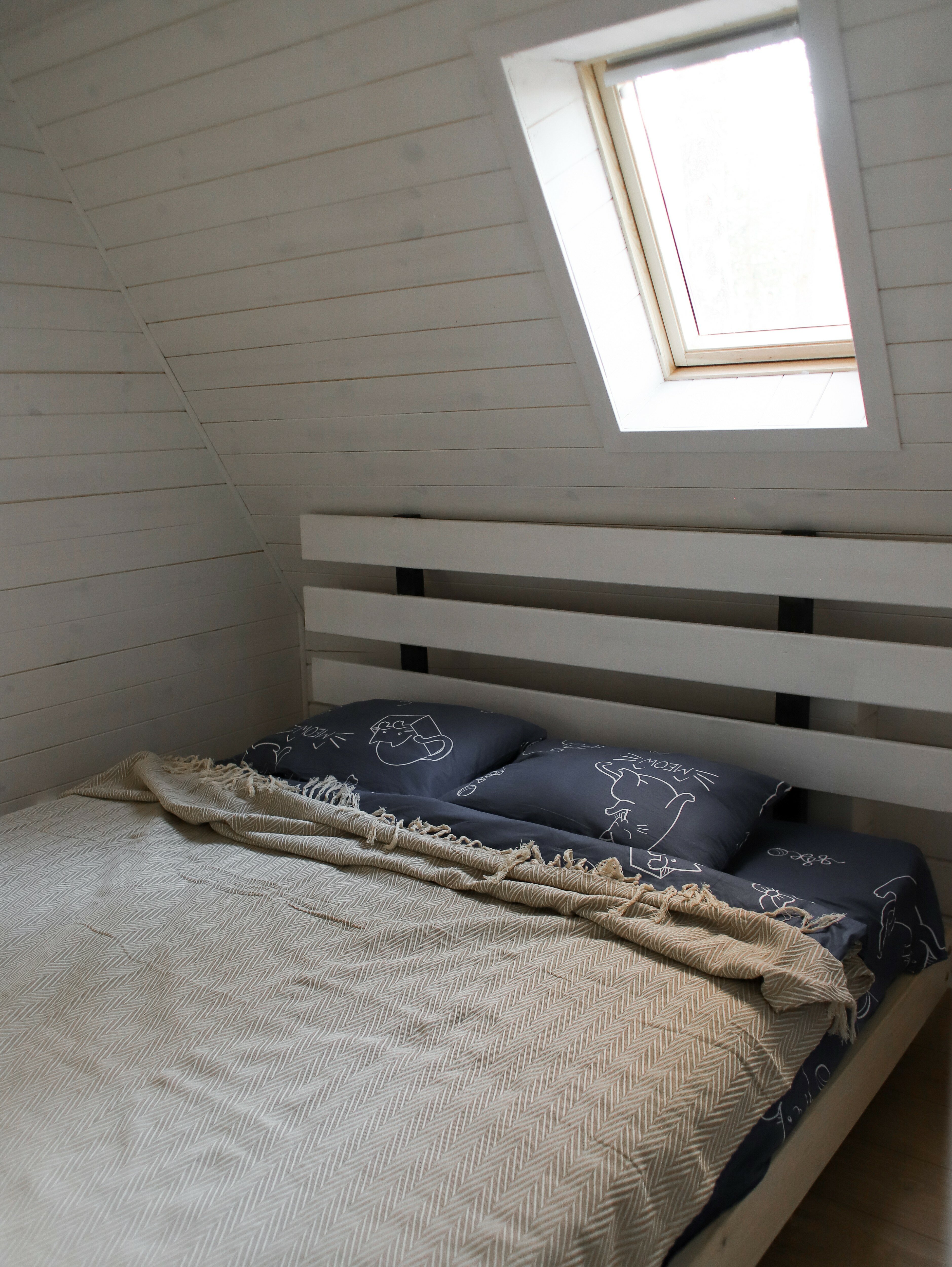 Фото Forest tale