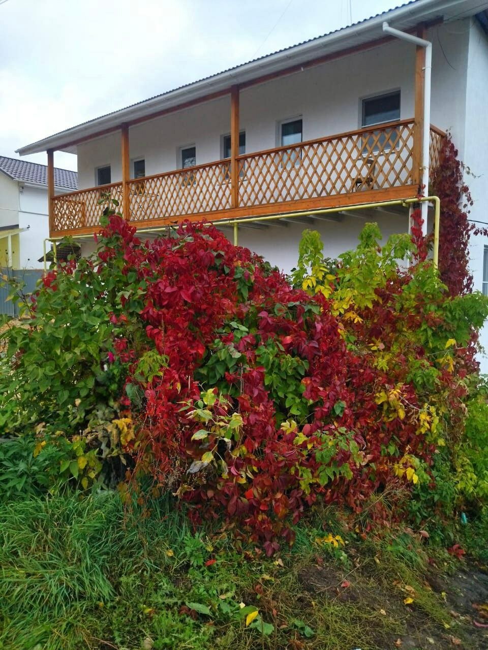 Фото Акварель