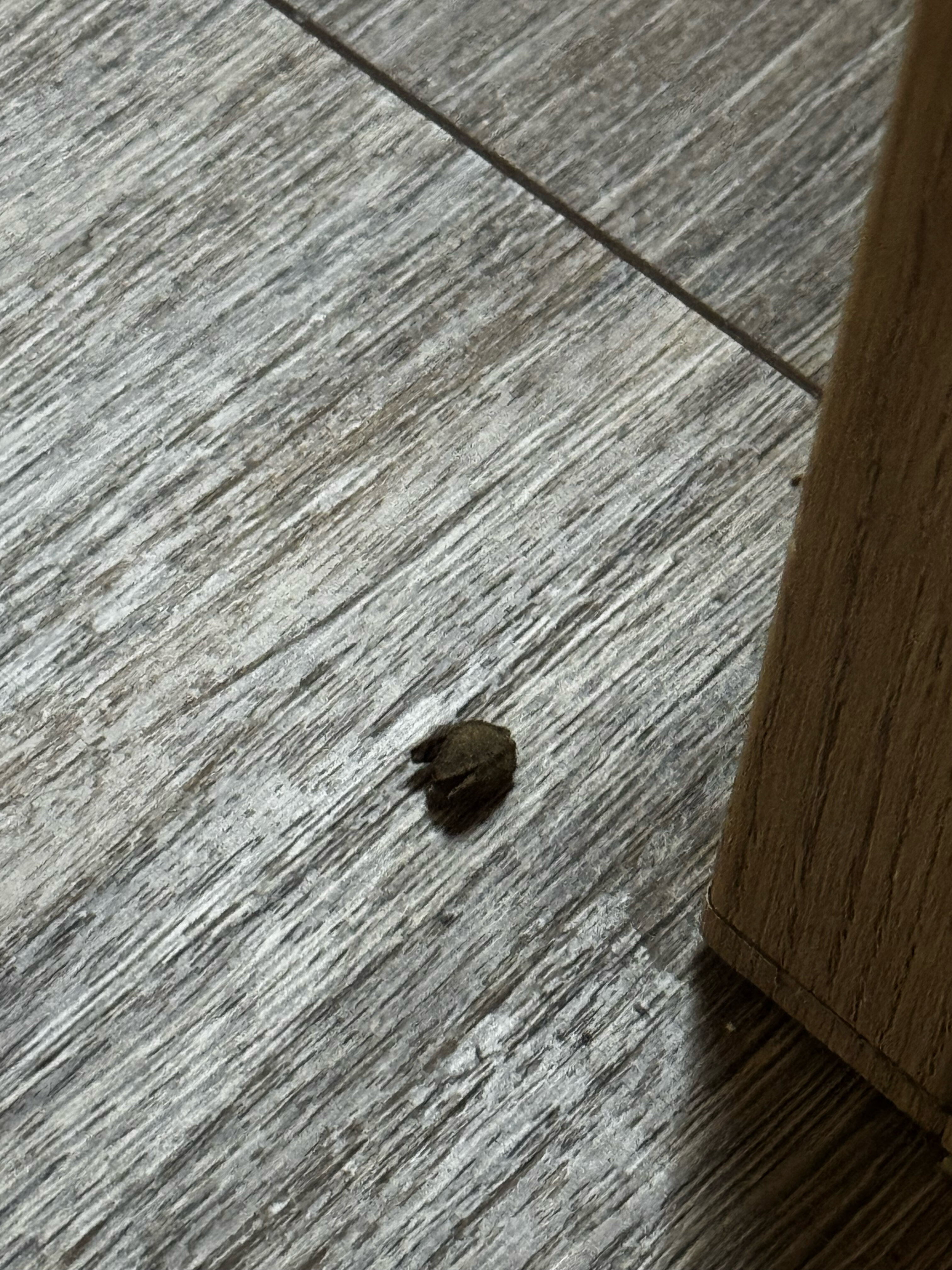 Фото Дом Царь горы