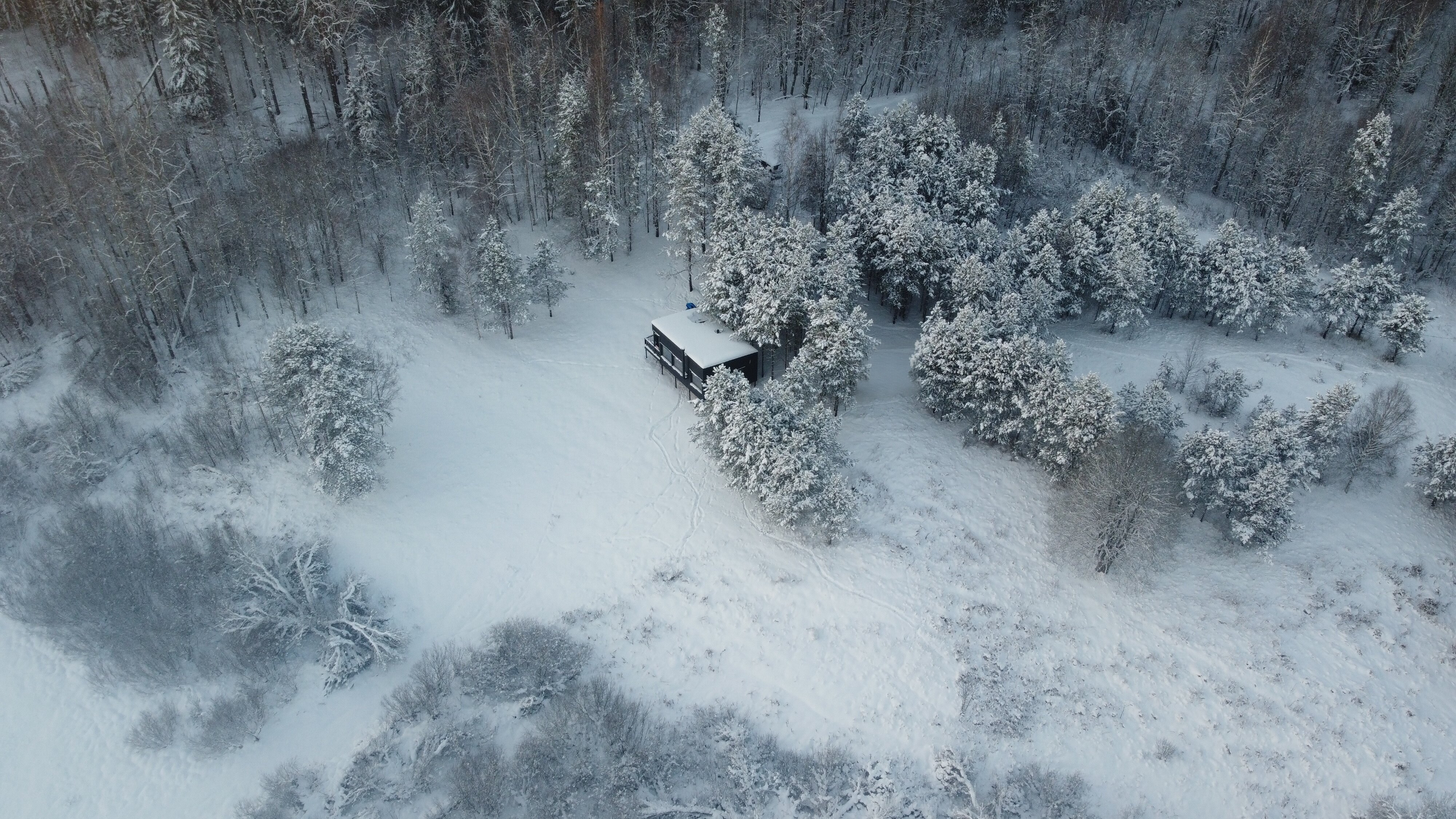 Фото Дом в лесу Холмово