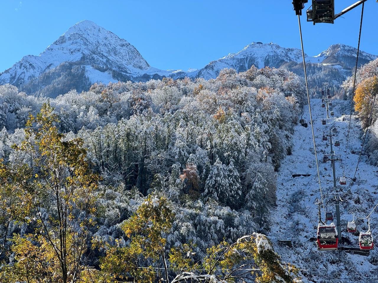 Фото Дачный квартал