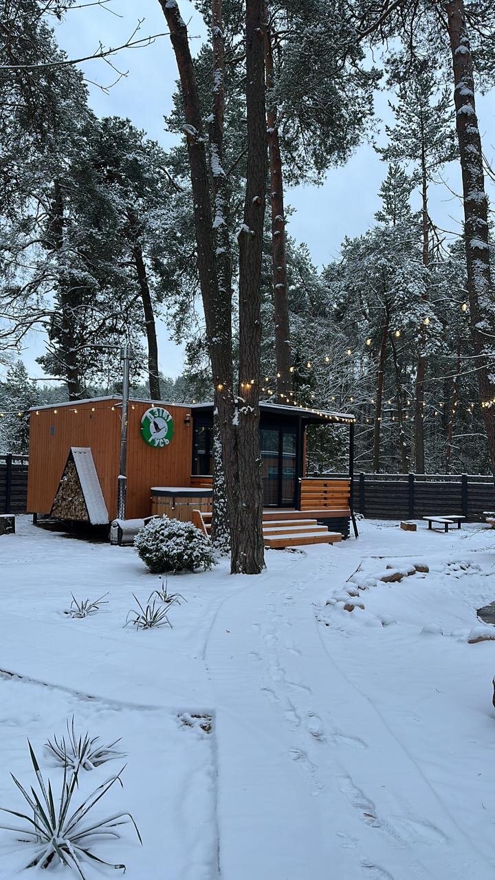 Фото Дикий гусь