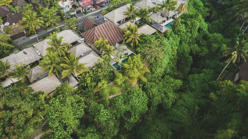 Фото Luwak Estate