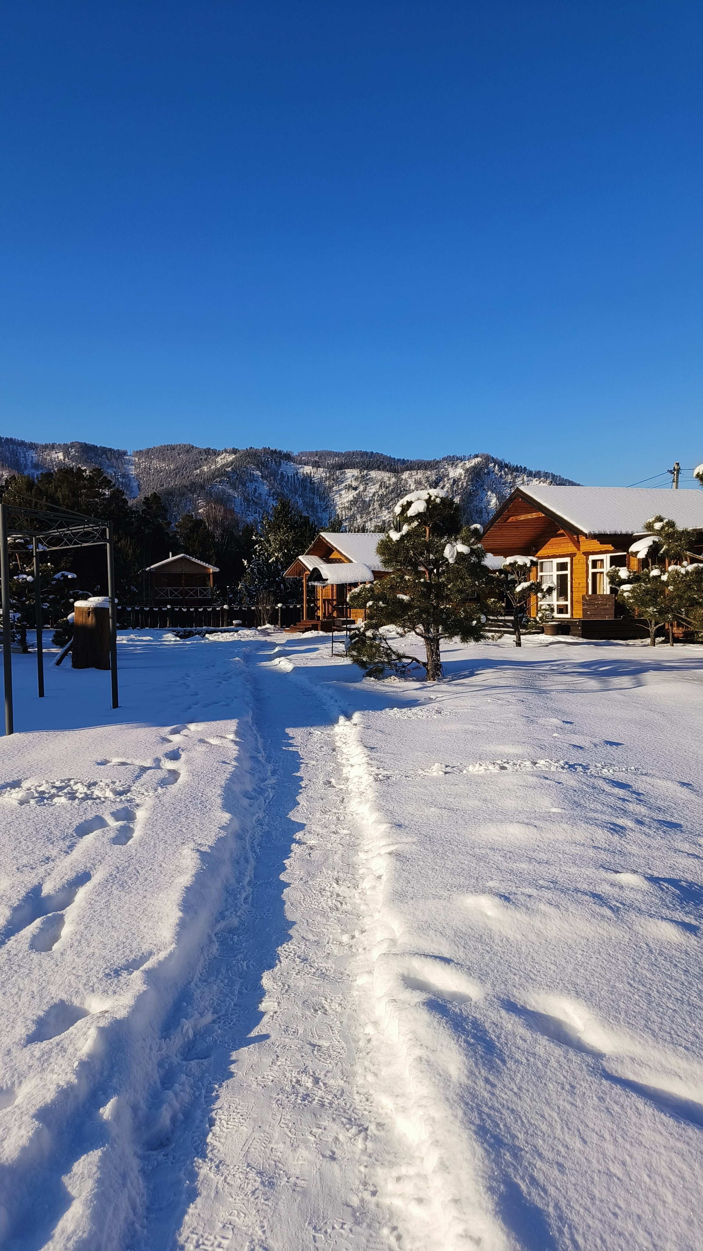 Фото Баюта Алтай