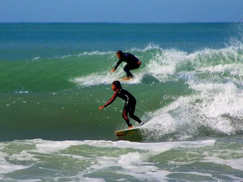 Гостиница Waikanae Beach Top 10 Holiday Park в Гисборне