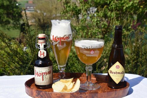 Гостиница RectoVersoVV во Фламандском Брабанте