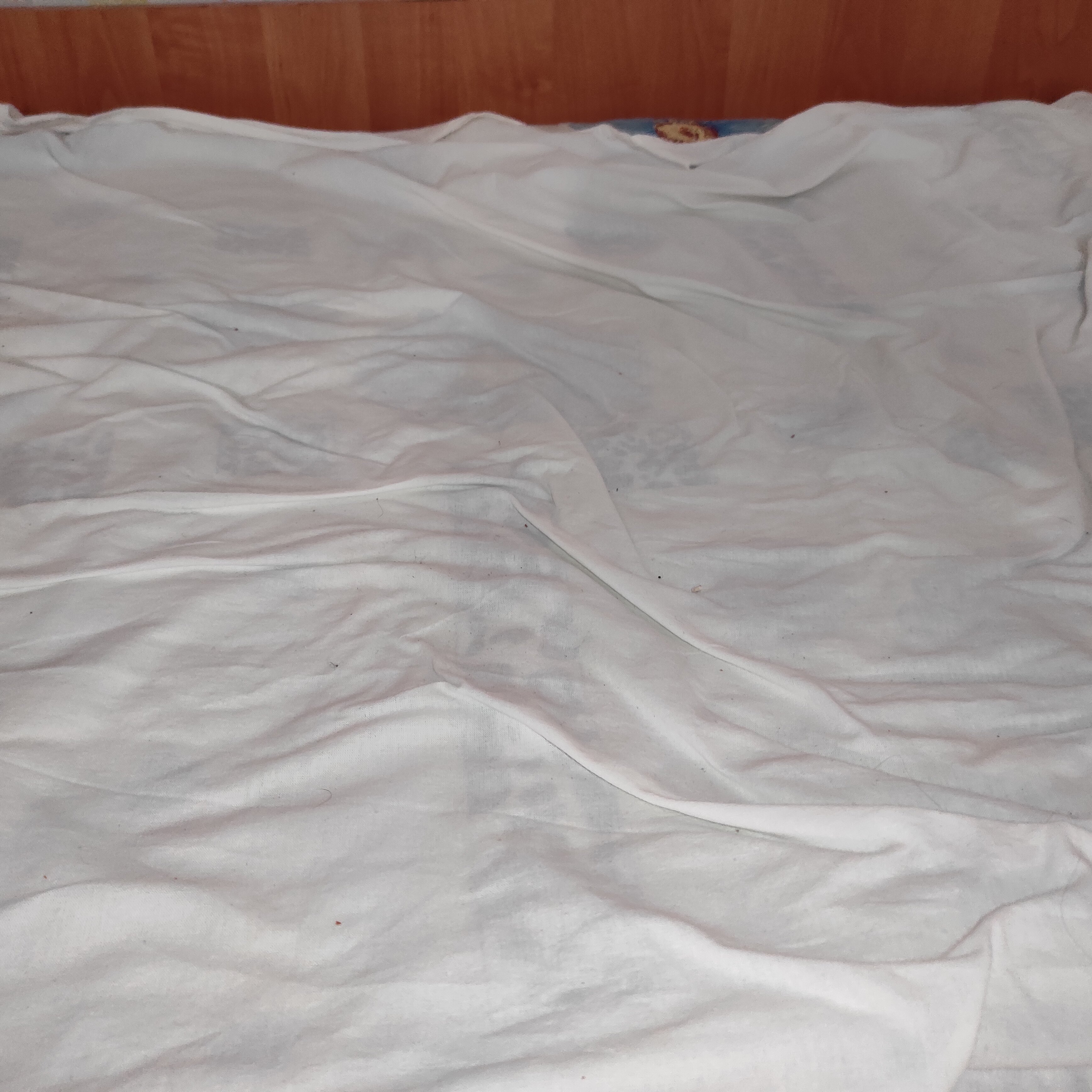 Фото Морской Бриз