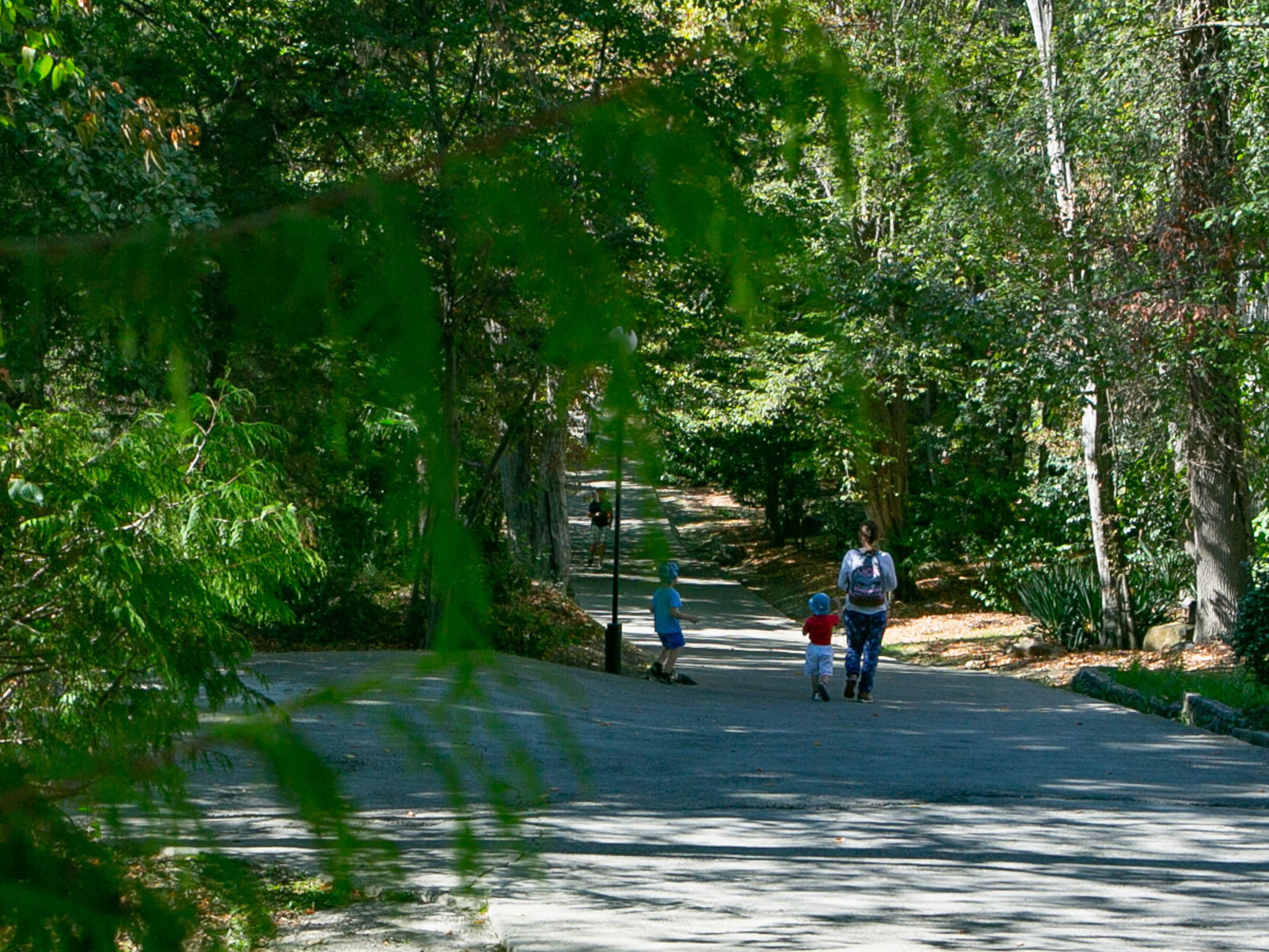 Фото Вилла Полианна