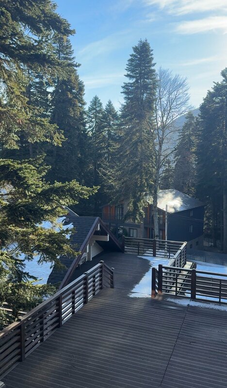Chalet Monte — фото 37