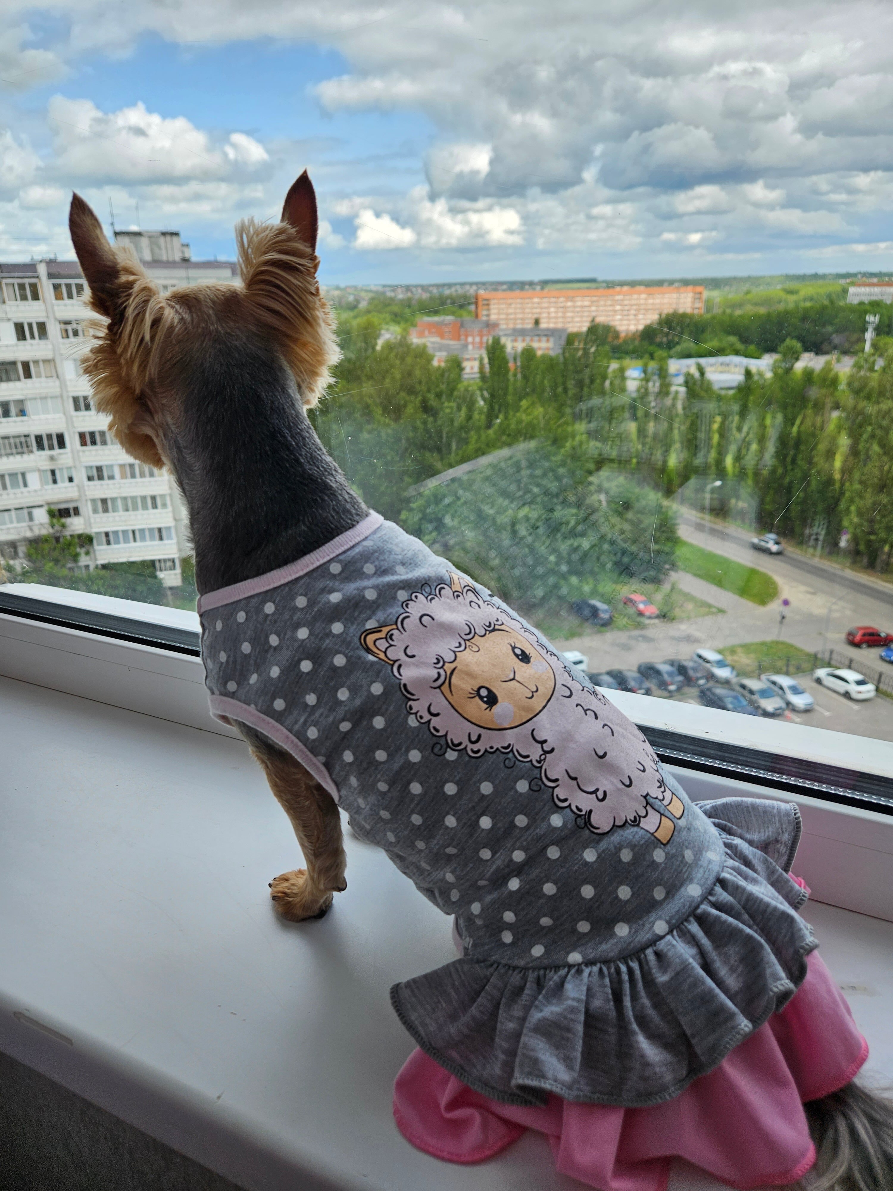Фото Azimut Отель Пенза
