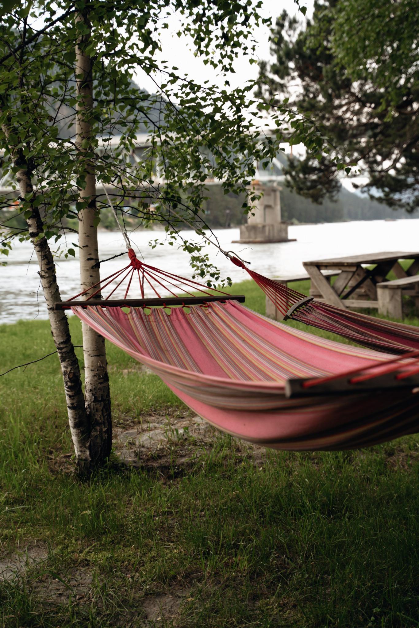 Фото Камышла Парк