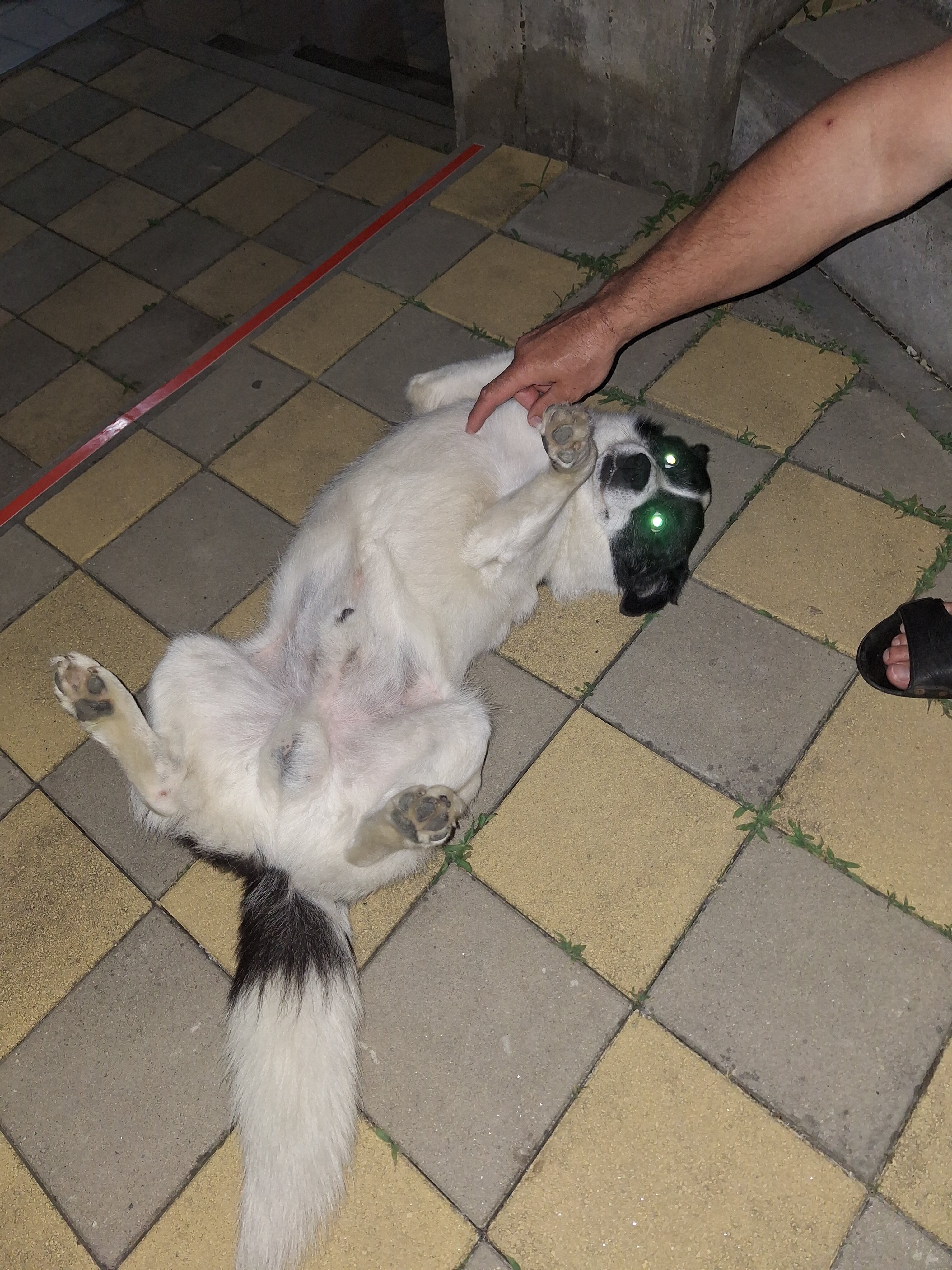 Фото Магнит